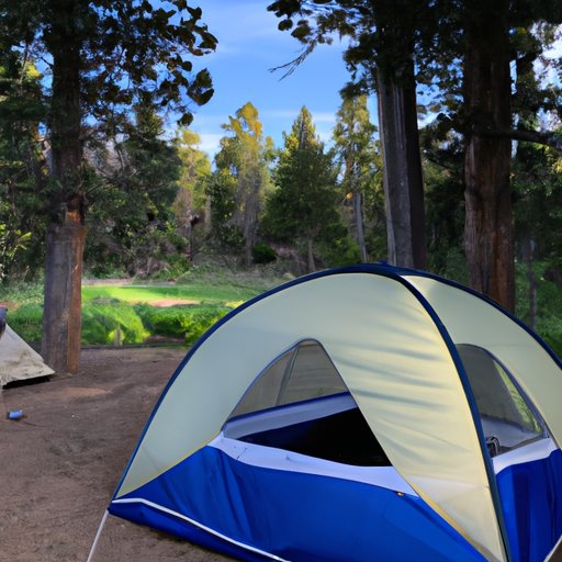 Exploring the Benefits of Camping in Nature