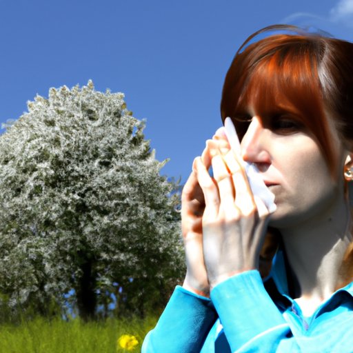 Treating Outdoor Allergy Personas 5: The Best Solutions