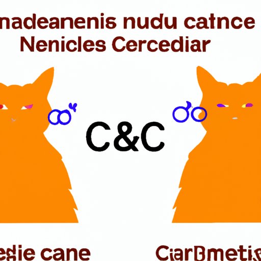 Analyzing the Connection Between Orange Cats and Gender