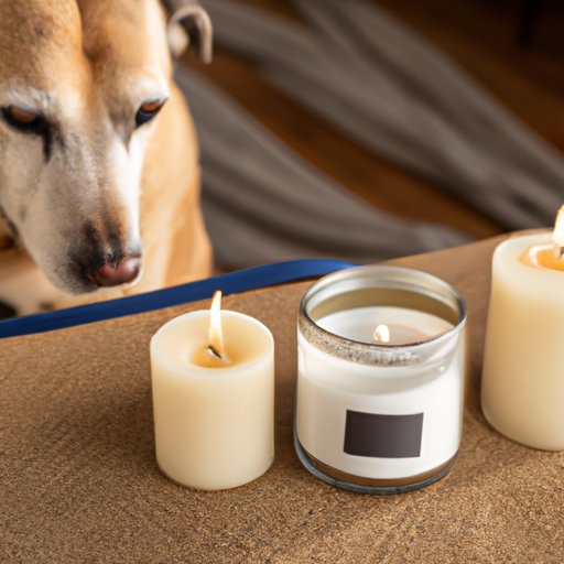 Investigating the Safety of Soy Candles for Pets