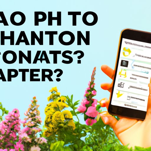 How to Choose the Right Free Plant Identification App for You