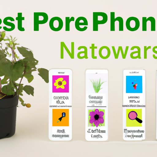 Review of Most Popular Free Plant Identification Apps