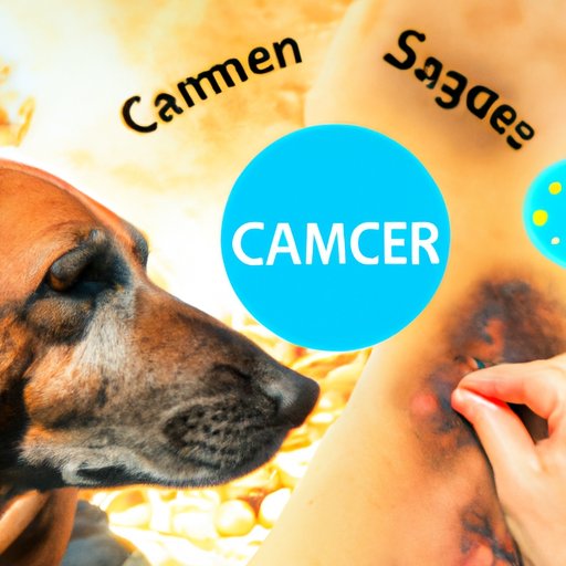 Diagnosis and Treatment of Skin Cancer in Dogs