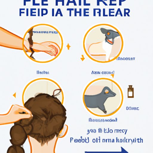 How to Identify and Prevent Flea Infestation on Human Hair