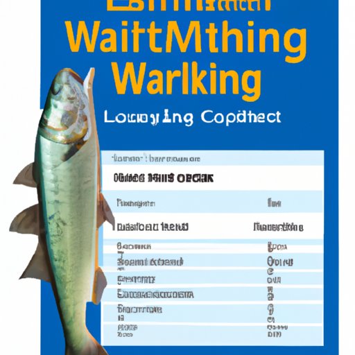 A Comprehensive Guide to Acquiring a Fishing License from Walmart