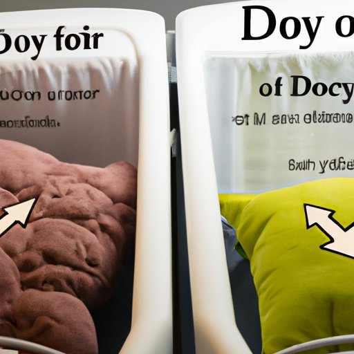 Pros and Cons of Drying Pillows in the Dryer