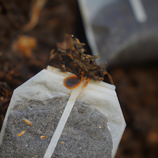  The Environmental Impact of Composting Tea Bags 