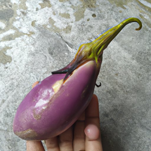The Health Benefits of Eating Eggplant Skin