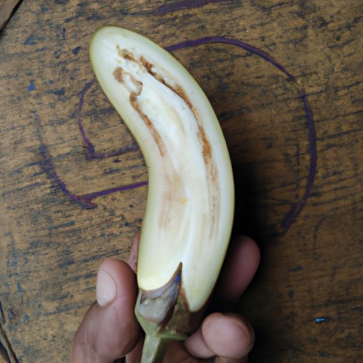 The Nutritional Benefits of Eating Eggplant Skin