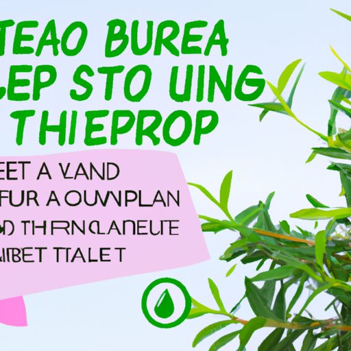 Top Tips for Applying Tea Tree Oil to Your Skin