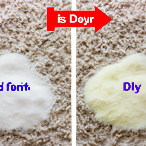 Comparing the Effectiveness of Using Laundry Detergent Versus Carpet Cleaner