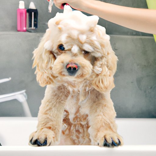 Common Mistakes People Make When Washing Their Dog with Regular Shampoo