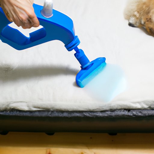 The Best Ways to Disinfect and Sanitize a Dog Bed