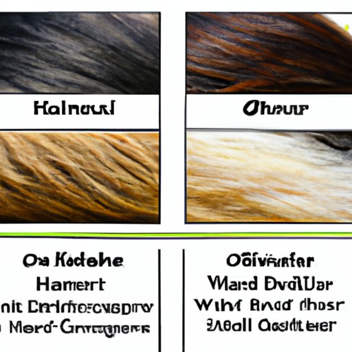 Comparing the Hair Types of Different Mammal Species