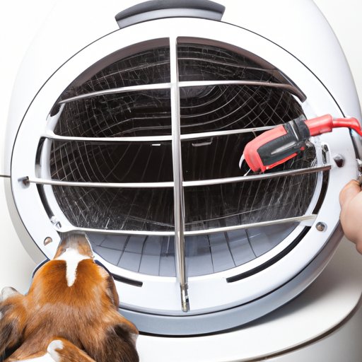 Keep Fleas at Bay with a Hot Dryer Cycle