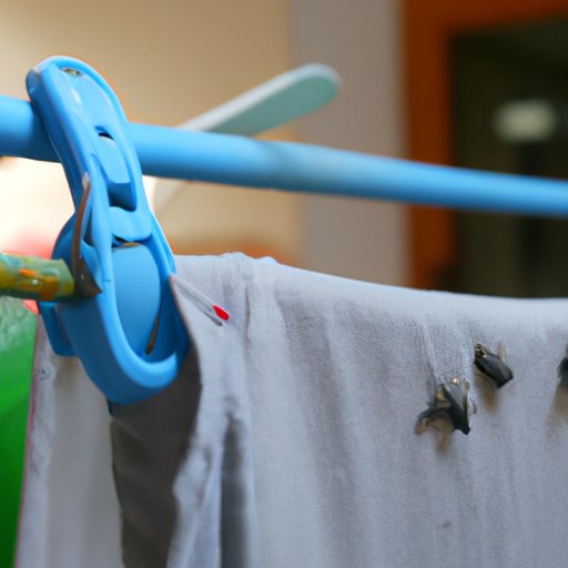 Bed Bugs: The Reasons Behind Washing Hanging Clothes