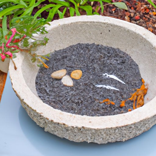 How to Create a DIY Bird Bath for Your Garden