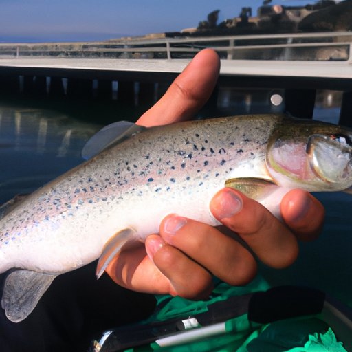 The Benefits of Having a Fishing License in California
