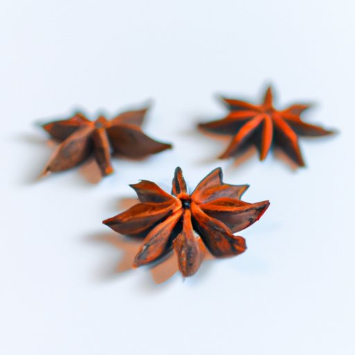 A Guide to Using Star Anise in Recipes