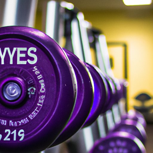 A Guide to Using Free Weights at Anytime Fitness