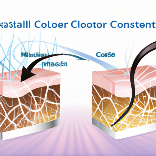 Investigating the Link Between Collagen and Hair Loss