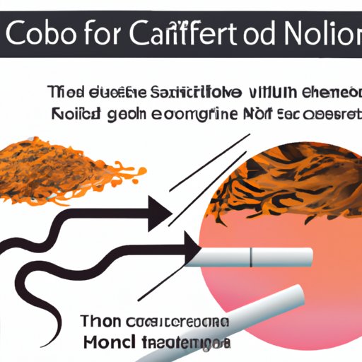Understanding the Relationship between Nicotine and Hair Follicles