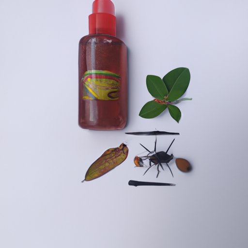 Use Natural Remedies to Rid Ants from Your Kitchen