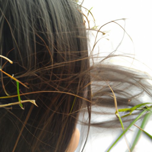 Try Herbal Remedies to Stimulate Hair Growth