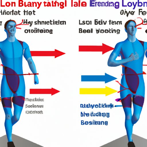 The Effects of Blood Flow on Lung Performance During Exercise