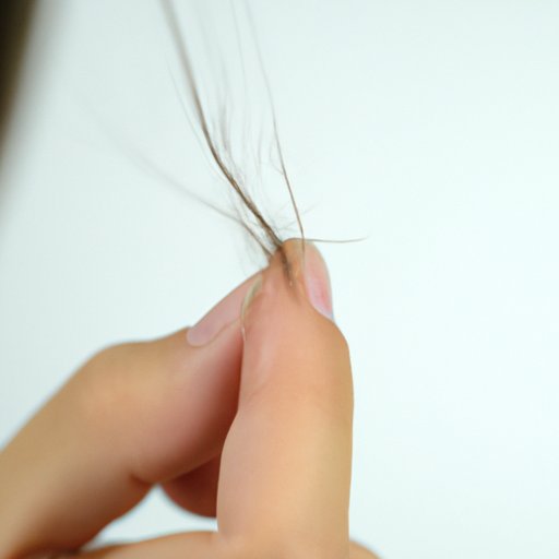 Exploring the Longevity of Dead Nits in Hair