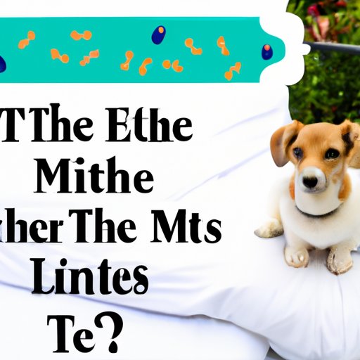 What You Need to Know About Ear Mites and Bedding