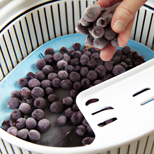 How to Make Sure Your Frozen Blueberries Stay Fresh