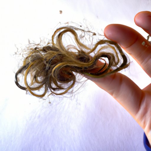 Understanding How Long Marijuana Residue Remains in Your Hair