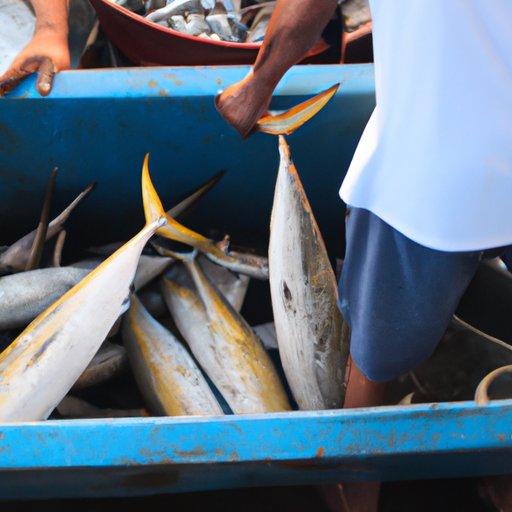 Examining the Economic Impact of Fisheries
