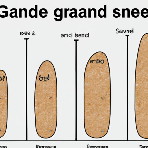 Comparing the Amount of Grains of Sand in Different Locations Across the Globe