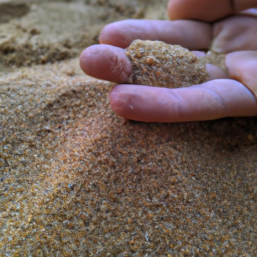 Uncovering the Significance of Grains of Sand for Life on Earth