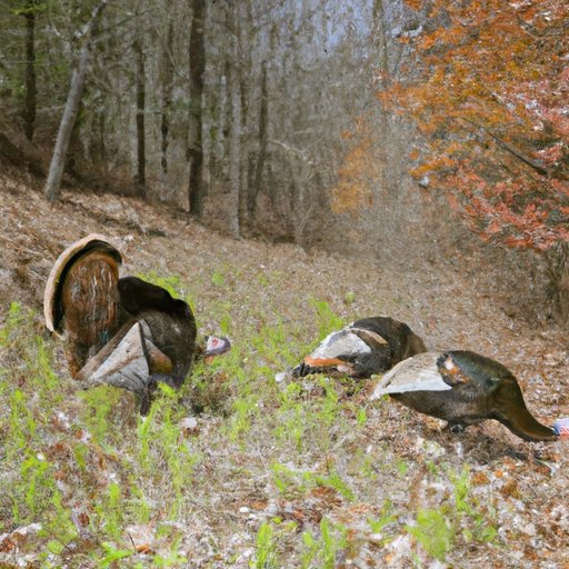 Exploring the Role of Conservation Efforts in Protecting Wild Turkeys