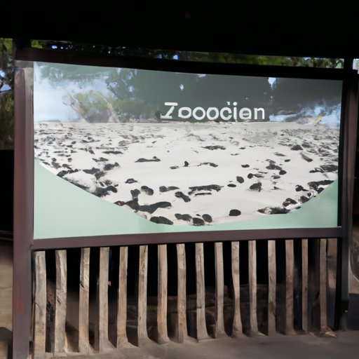Exploring the Global Zoo Community: A Look at How Many Zoos Are in the World