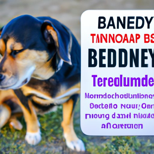 Understanding the Benefits of Benadryl for Dogs