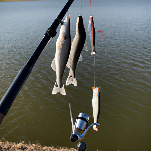 The True Cost of Reeling in Fish in Texas