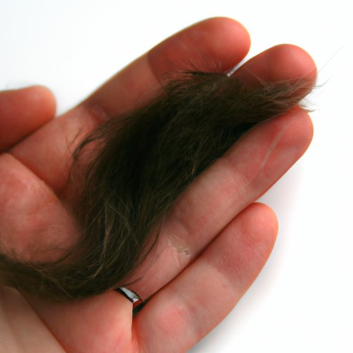 The Surprising Weight of Human Hair