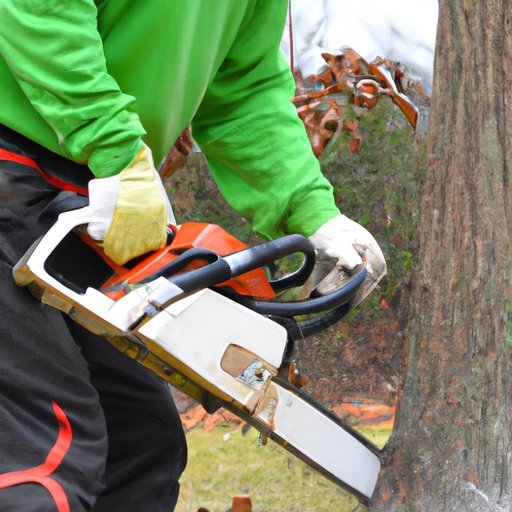 The Pros and Cons of DIY Tree Cutting vs. Hiring a Professional