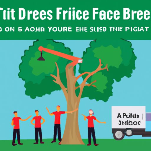How to Spot a Fair Price for Tree Removal Services