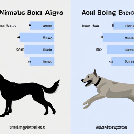 Compare the Exercise Needs of Active vs. Inactive Dog Breeds