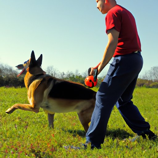 Examining the Physical and Mental Benefits of Regular Exercise for German Shepherds