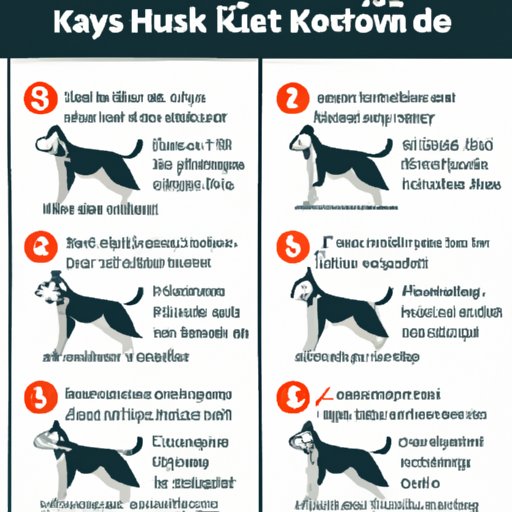 A Guide to Exercise Requirements for Huskies