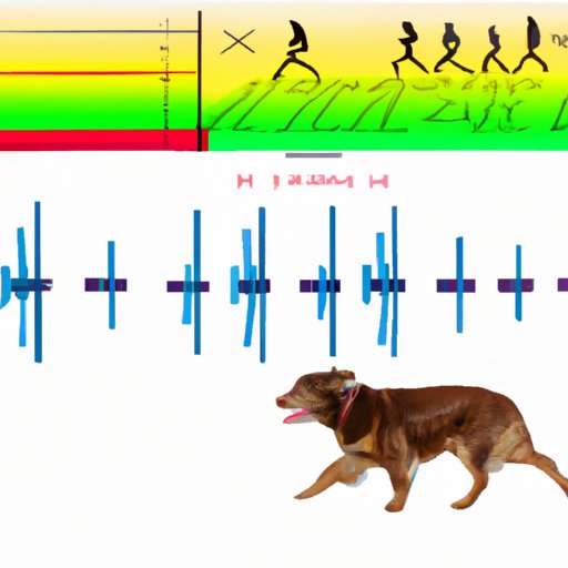 Calculating the Necessary Amount of Exercise for Your Dog