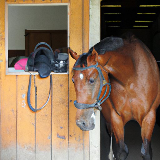 The Cost of Horse Ownership: Calculating the Total Expense