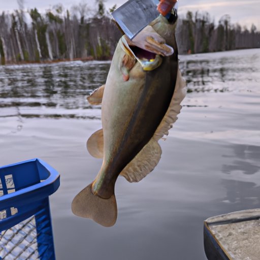 Exploring the Prices of Michigan Fishing Licenses