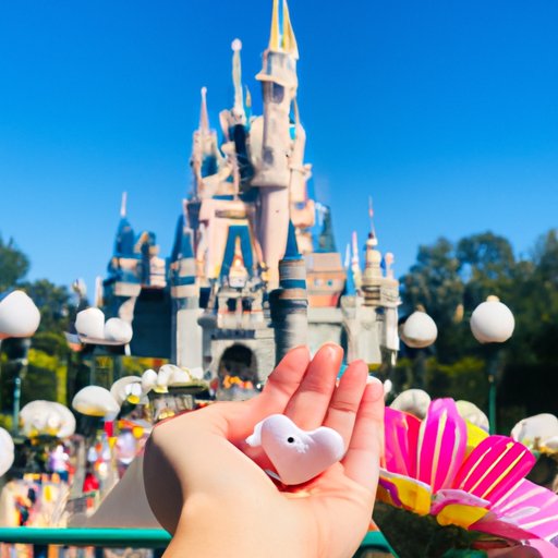 The Total Cost of Visiting Disney World: What You Should Expect